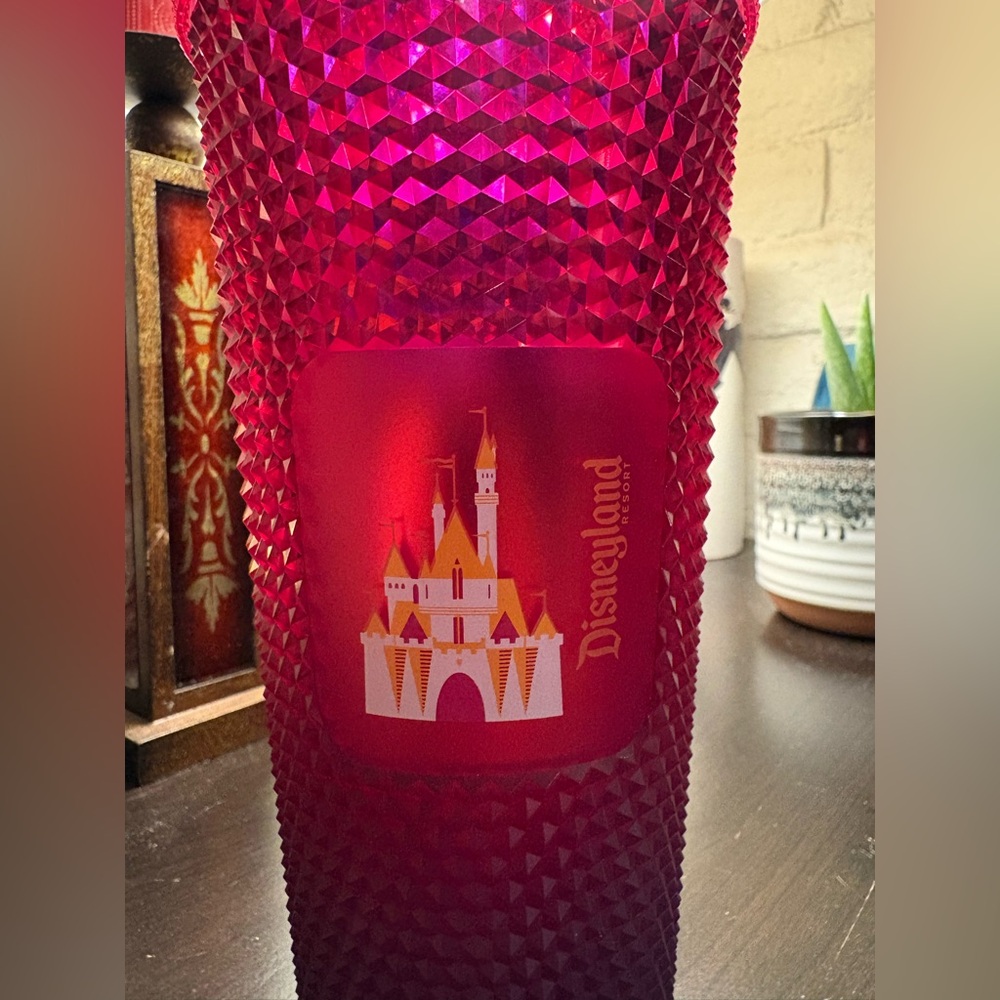 Limited Edition 2021 Florida Disney Park Starbucks Tumbler NWT